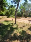 2.5 Acre Plot for Sale in Shanzu, Serena Area - 2