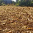 1/4 Acre Prime Land in Sagana - 1