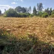 1/4 Acre Prime Land in Sagana - 2