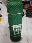 Green PVC Coated Chain Link Fence - 6ft - 2