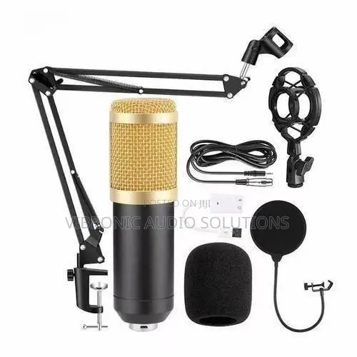 BM-800 Professional Condenser Microphone - 1