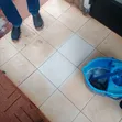 Spectile Tile Cleaner - 3