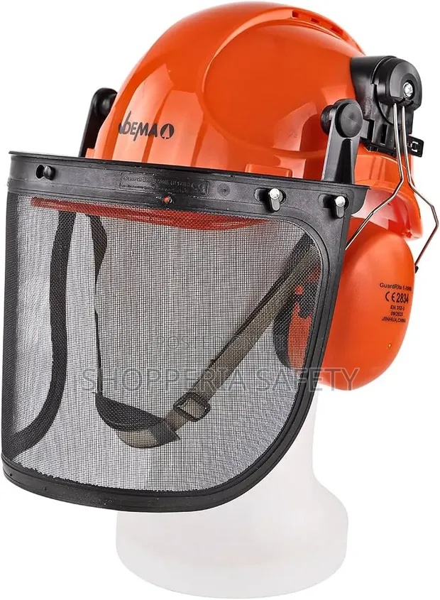 Forestry Combinatory Helmet with Face Shield & Hearing Protection - 1