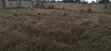 Prime 1/2 Acre Land in Karen, Nairobi | Clean Title - 5