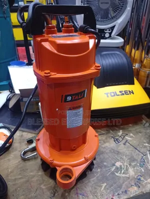 Heavy Duty 1HP Electric Water Pump