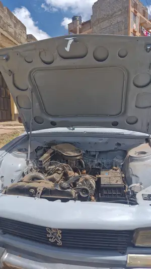 Peugeot 504 Pickup 1991 Gray