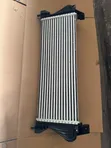 Ford Raptor 2.0/3.0 Intercooler - Mpya Kabisa - 2