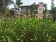 Prime 1/8 Commercial Plots in Ongata Rongai - 1