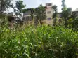 Prime 1/8 Commercial Plots in Ongata Rongai - 2