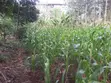 Prime 1/8 Commercial Plots in Ongata Rongai - 3