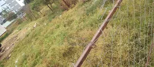 Kiwanja cha 50x100 kinauzwa Ruiru, Karibu na Reli