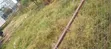 Kiwanja cha 50x100 kinauzwa Ruiru, Karibu na Reli - 2