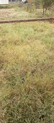 Kiwanja cha 50x100 kinauzwa Ruiru, Karibu na Reli - 3