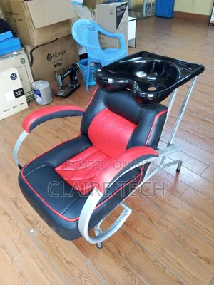 All-in-One Salon Chair with Hair Wash Sink