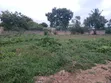 Prime Kikambala Plot - 5 Min Walk to Beach - 1