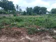 Prime Kikambala Plot - 5 Min Walk to Beach - 4