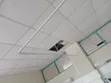 High Quality Hospital Rails - 1