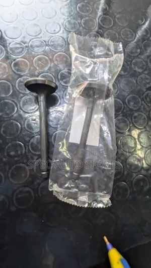 Vali za Inlet na Outlet za Land Cruiser 79 Injini ya 1HZ (Mpya Kabisa)