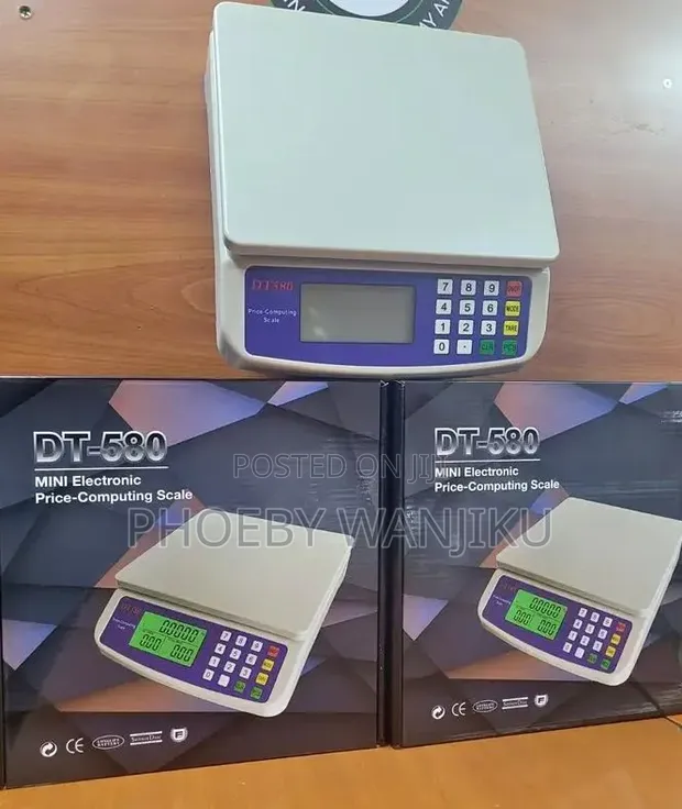 DT 580 Mini Electronic Price Computing Scale - 1