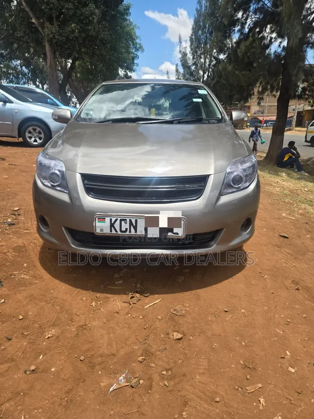 Toyota Corolla Fielder 2010 Gray - 1