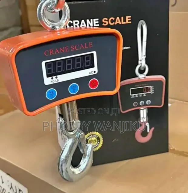 Crane Scale Digital ya Ubora wa Juu 500Kg - 1