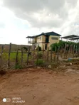 Eneo la Eka 380 kwa Ajili ya Kilimo Linauzwa Olkinyei, Narok - 1
