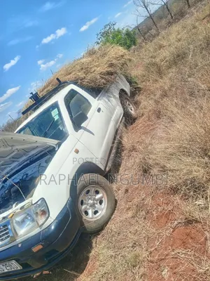 Nissan Hardbody 2002 Pickup Truck