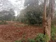 Ekari 2.5 za Ardhi ya Kibiashara Zinauzwa, Ridgeways - 1