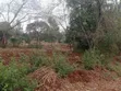 Ekari 2.5 za Ardhi ya Kibiashara Zinauzwa, Ridgeways - 2