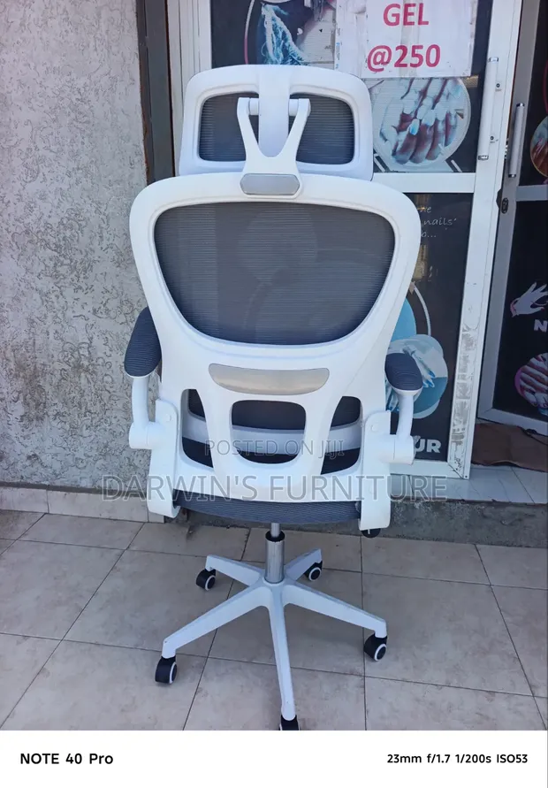 Kiti cha Ofisi cha Ergonomic chenye Lumbar Support - Nyeusi Mesh - 1