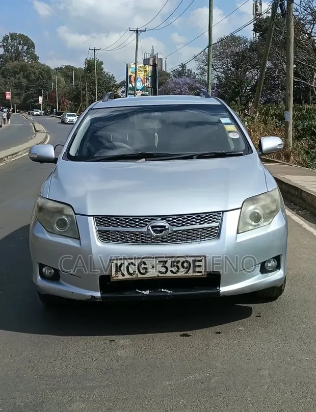 Toyota Corolla Fielder 2008 Silver - 1