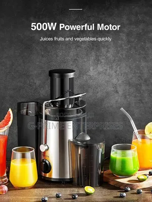Ramtons Commercial Juicer Extractor 800W