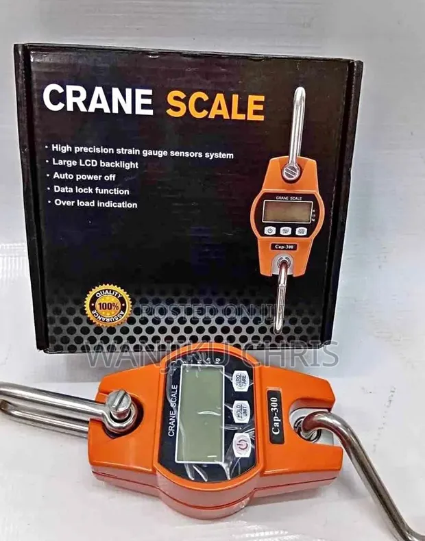 Digital Crane Weighing Scale 300kg - 1