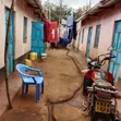 Kitalu cha Biashara kwa Mauzo Mwea - 2
