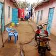 Kitalu cha Biashara kwa Mauzo Mwea - 3