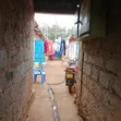 Kitalu cha Biashara kwa Mauzo Mwea - 4