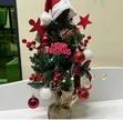 Table Top Christmas Tree with Lights & Decorations - 4