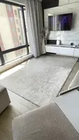 Cream Rug / Carpet 7x10 - 1
