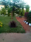 Nyasi za Kuuzwa Kenya | Lawn, Mazao na Malisho - 2