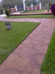 Nyasi za Kuuzwa Kenya | Lawn, Mazao na Malisho - 3