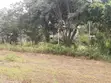Viwanja vya Nusu Eka Vinauzwa Ngong - 2
