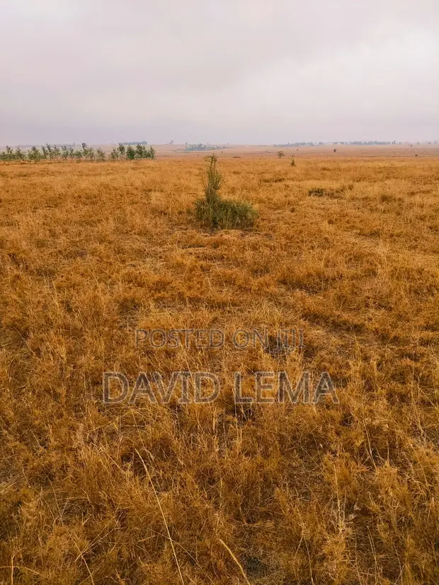 Eneo la Eka 3 za Biashara Zinauzwa Isinya - 1