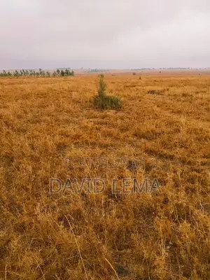 Eneo la Eka 3 za Biashara Zinauzwa Isinya