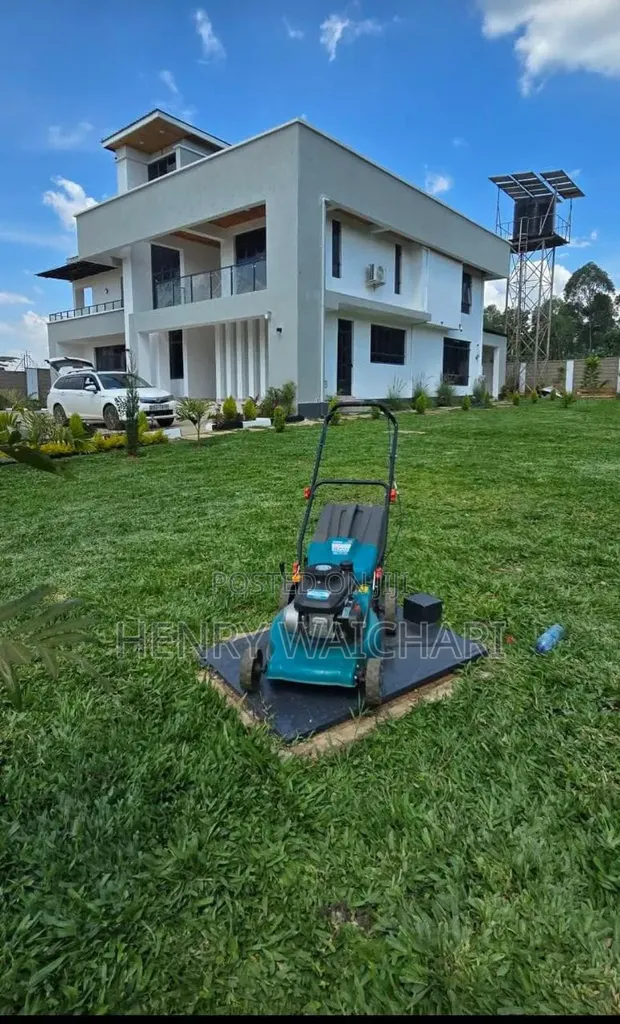 Diamond Spear Clean & Green: Urekebishaji na Matunzo ya Bustani - 1