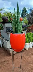 Diamond Spear Clean & Green: Urekebishaji na Matunzo ya Bustani - 5
