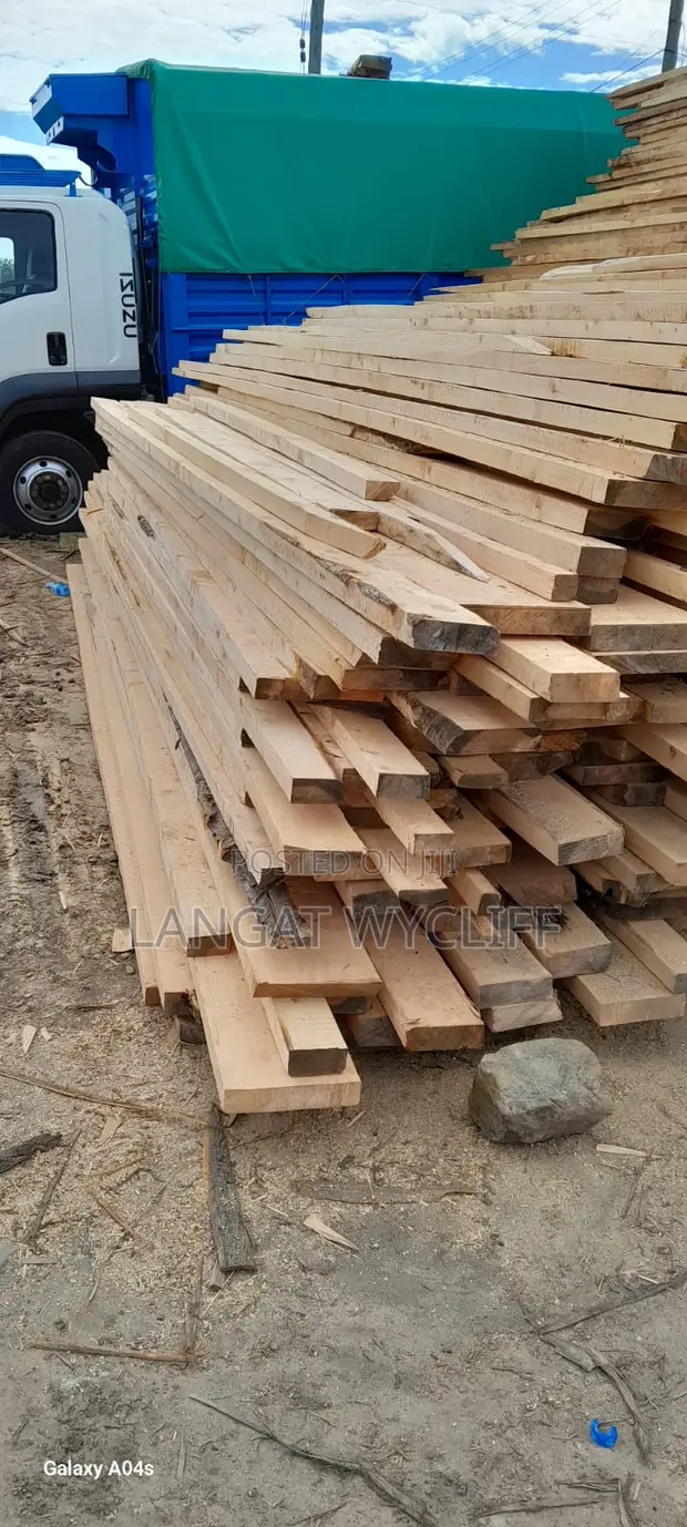 Wood Characteristics - 1