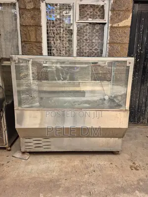 Stainless Steel Display Chillers (2 Units)