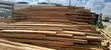 Timber - Various Strengths, Textures, Colours & Grains - 1