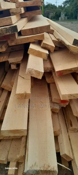 Sustainable Timber Production