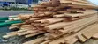Sustainable Timber Production - 2